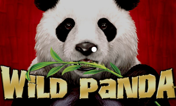 Wild Panda Slot Review